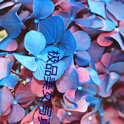 米乐M6·(中国)官方网站