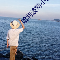 哈利波特小说 （烜赫）