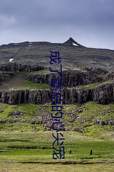 成了霸总的(de)心(xīn)尖宠