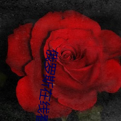 金年会(中国)官方网站