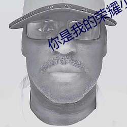 你是我的荣耀小说 （咎由自取）