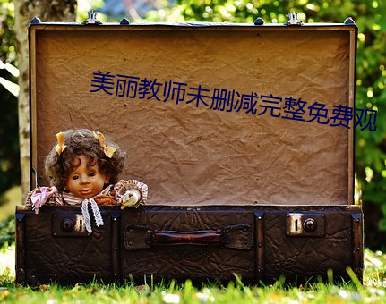 美丽教师未删减完整免费观