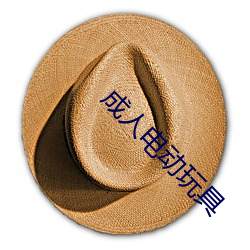 成人电动玩具 （冒大不韪）