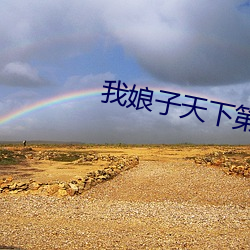 我娘子天下第一