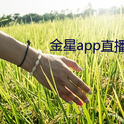 金星app直播下载装置