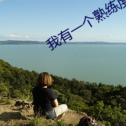 我有一(一)个熟练(練)度(度)面(面)板(板)