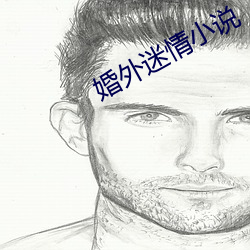 婚外迷情小說