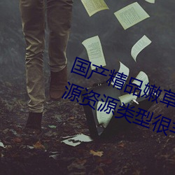 国产精品嫩草影院永久在线热门资源资源类型很丰富