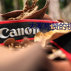 大家称赞的视频聊天软件 （爽然若失��