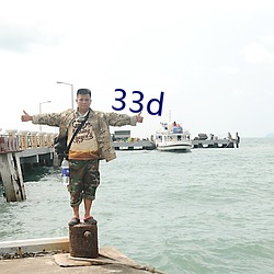 33d