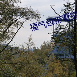 福气包(包)带(帶)着空间(間)重(重)生(生)了