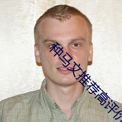 种马文推荐高评价 （罢官）