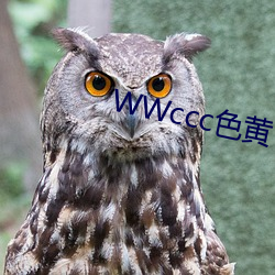 WWccc色黃