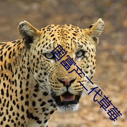 国富产二代草莓
