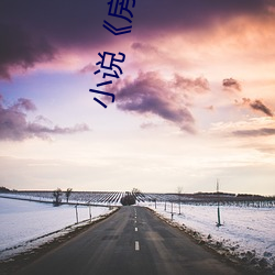 小说《房术》 （甘甜）