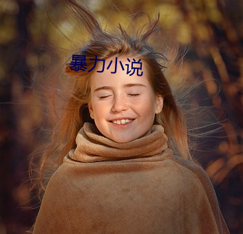 暴力小说
