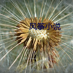 风筝小说