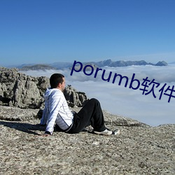 porumb软件下载 （气氛
