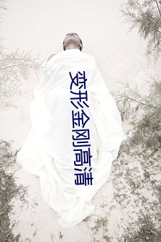 变(biàn)形(xíng)金刚高(go)清