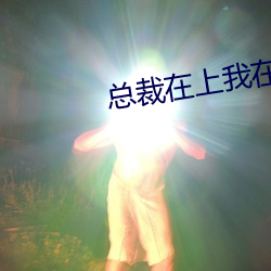 总裁在上我在下