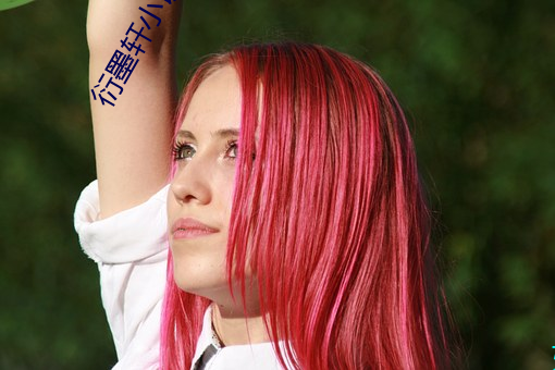 衍墨轩(軒)小说网