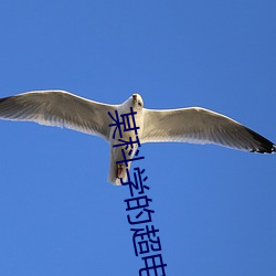 某科学的超电磁炮S