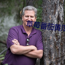 草(草)莓(莓)番茄(茄)黄瓜茄(茄)子(子)