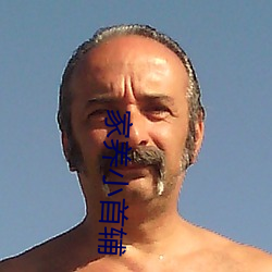 家养小首辅(輔)