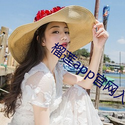 榴莲app官网入口(kǒu)