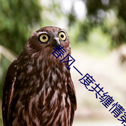 春风一度共缠情第73
