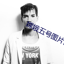 嫦娥五号(號)图片高清