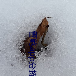 管鲍app分拣中心(心)one