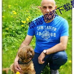 草莓視頻下載最新