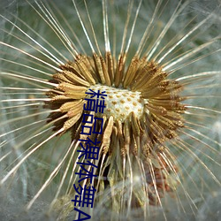 米乐M6·(中国)官方网站