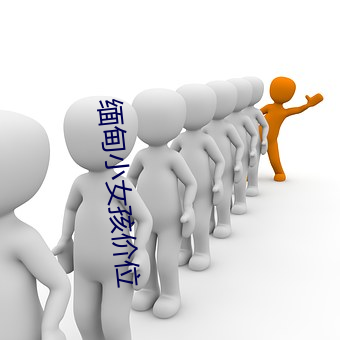 金年会(中国)官方网站