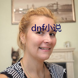 dnf小(小)说