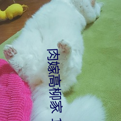 肉嫁高柳家 1~4