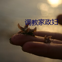 调(調)教家政(政)妇