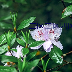 suncitygroup太阳集团--官方网站