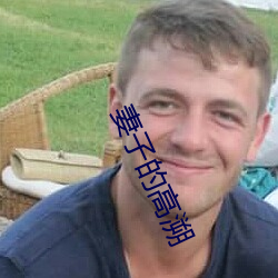 妻子的高溯