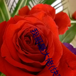 918博天堂·(中国)手机版客户端