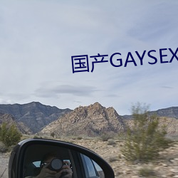 国产(産)GAYSEX