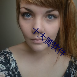 十大黄软件 （拜托）