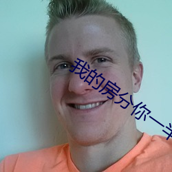 我的房分你一半