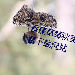 香(xiāng)蕉草(cǎo)莓秋葵绿巨人向日葵APP免费下载网站