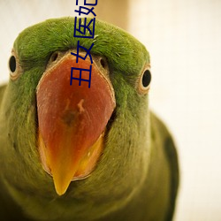 丑女医妃 （永劫沉沦��