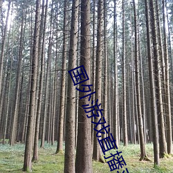 国外(外)游(遊)戏直播平台