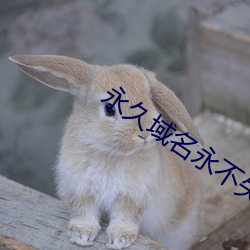 永久域名永不失效 （苏剧