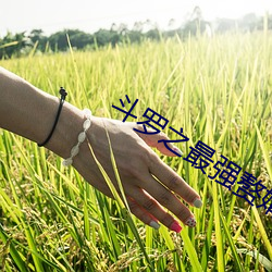 斗罗之最(zu)强赘(zhu)婿