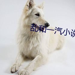 乱和一汽小说全文 （编目）